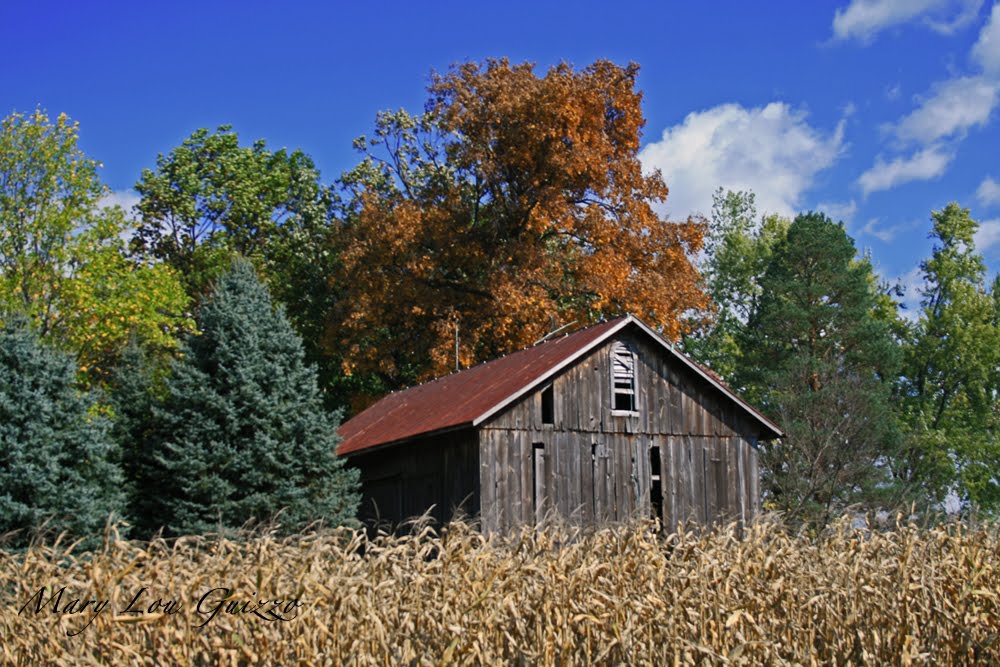 Barn near Medway, Ohio