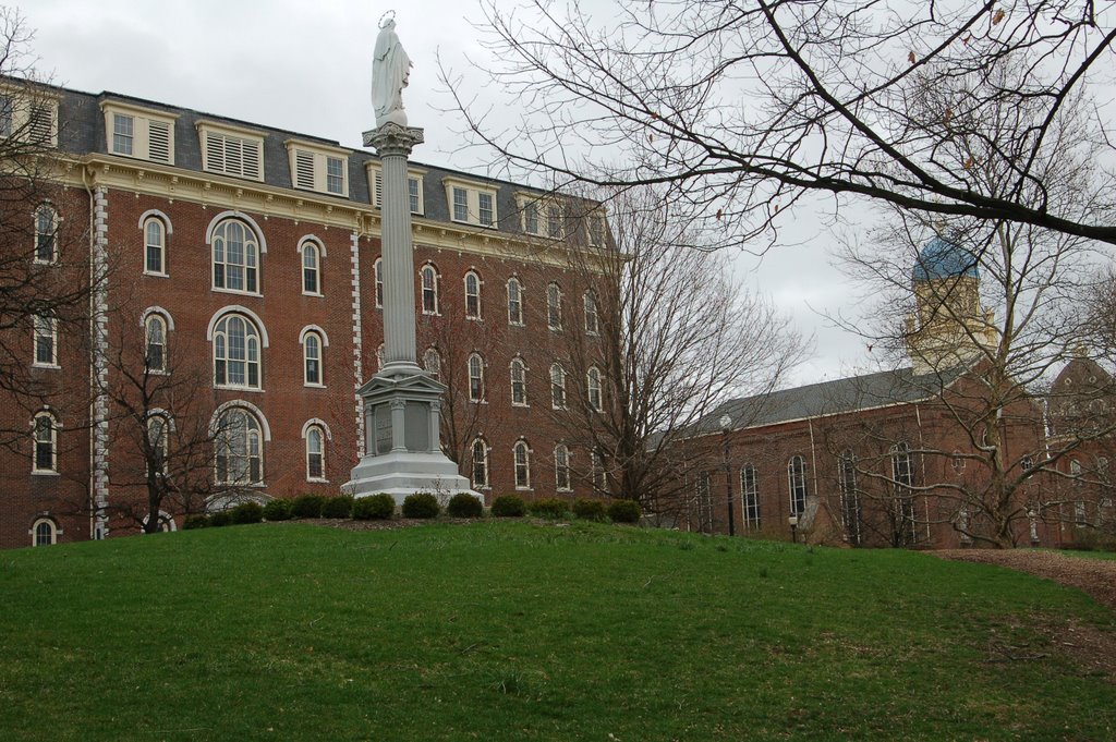 UD