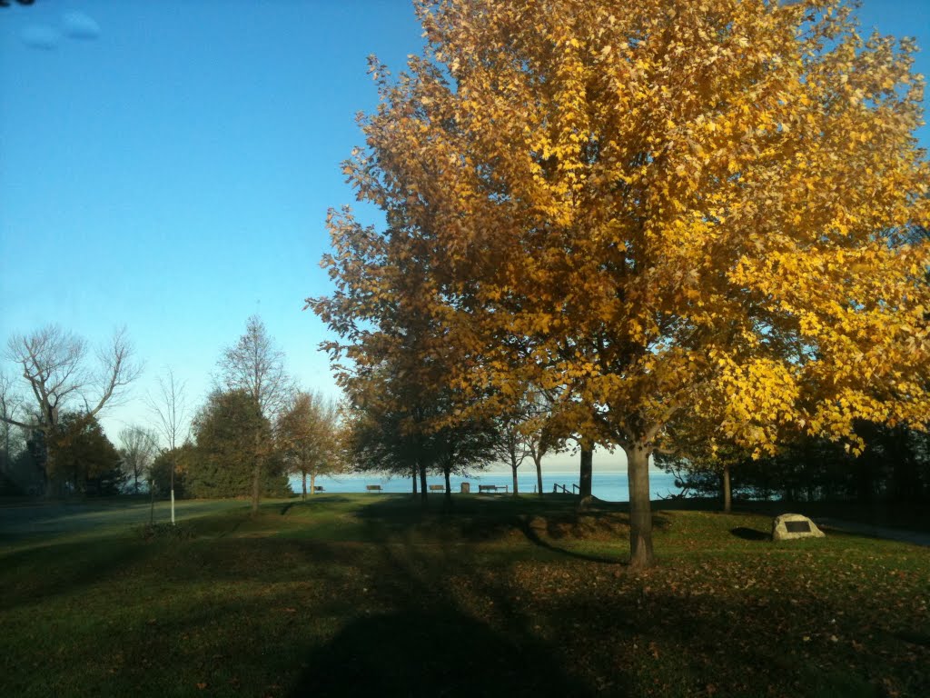 Lake Erie 8am, Nov., 2010