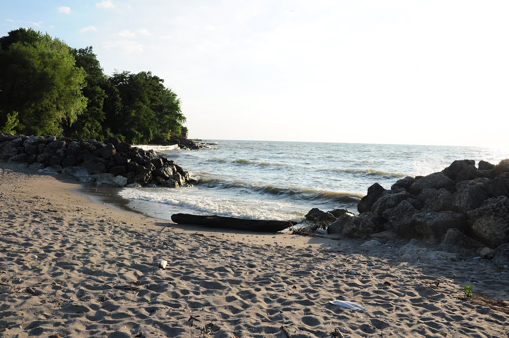 Sims Park