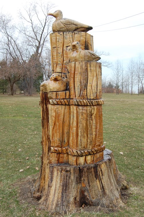 Seagull Stump