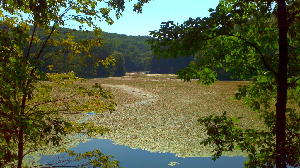 Lake Hope, Ohio - looking Southeast