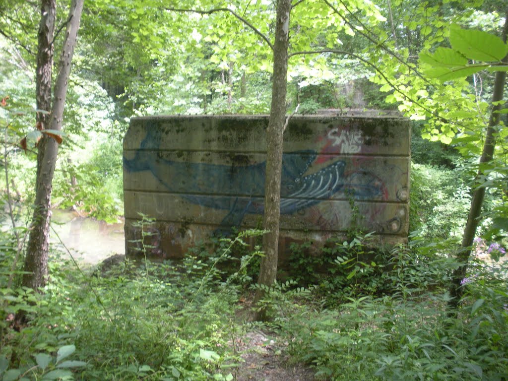 First Tressel east of the Moonville Tunnel (Whale Tressel) 2011