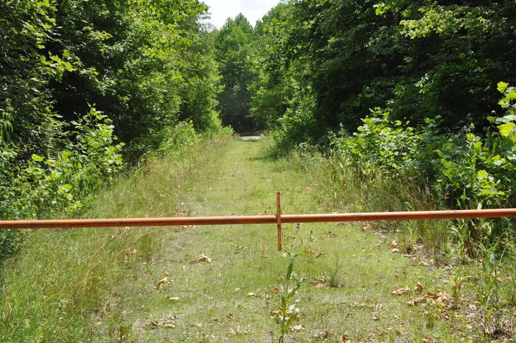 Moonville Rail Trail