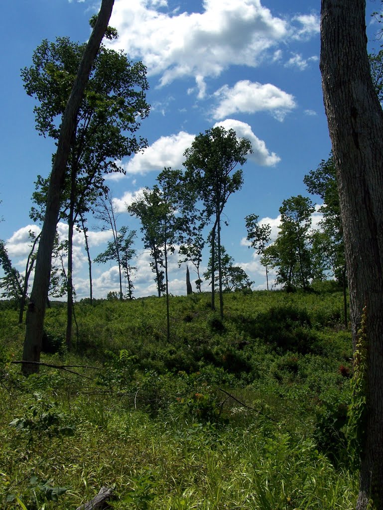 Elk Fork, Ohio