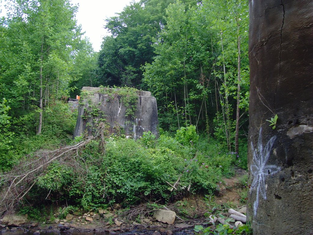 Moonville Tunnel Trestle, July 2007