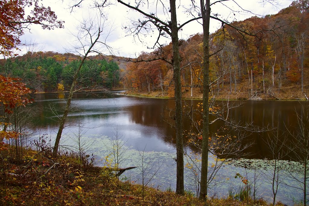 Lake Hope
