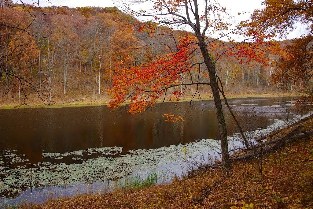 Lake Hope
