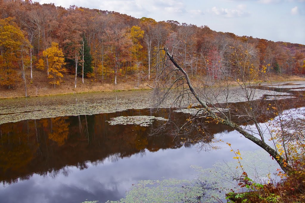 Lake Hope