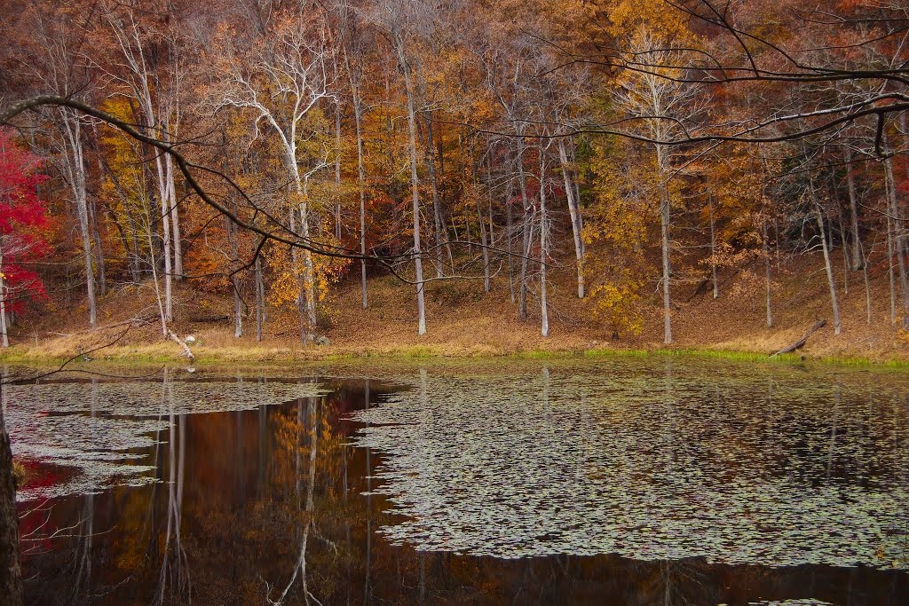 Lake Hope
