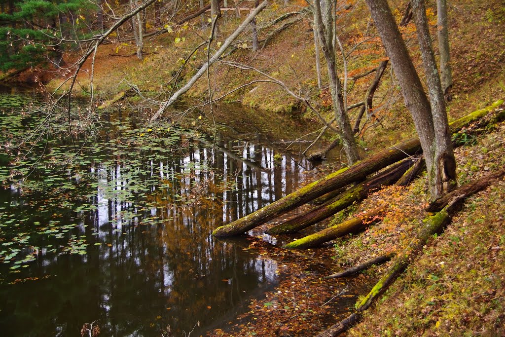 Lake Hope