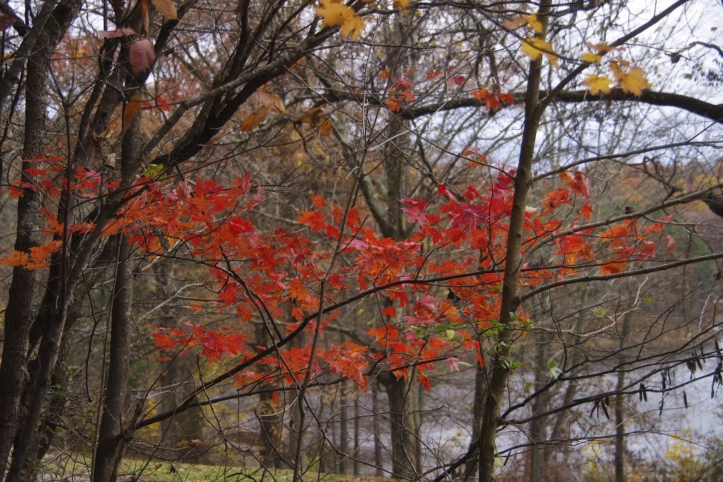Lake Hope