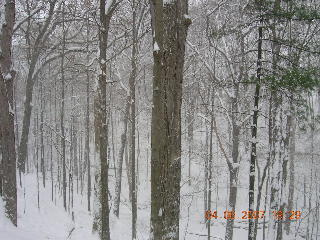 Snowy day in independence