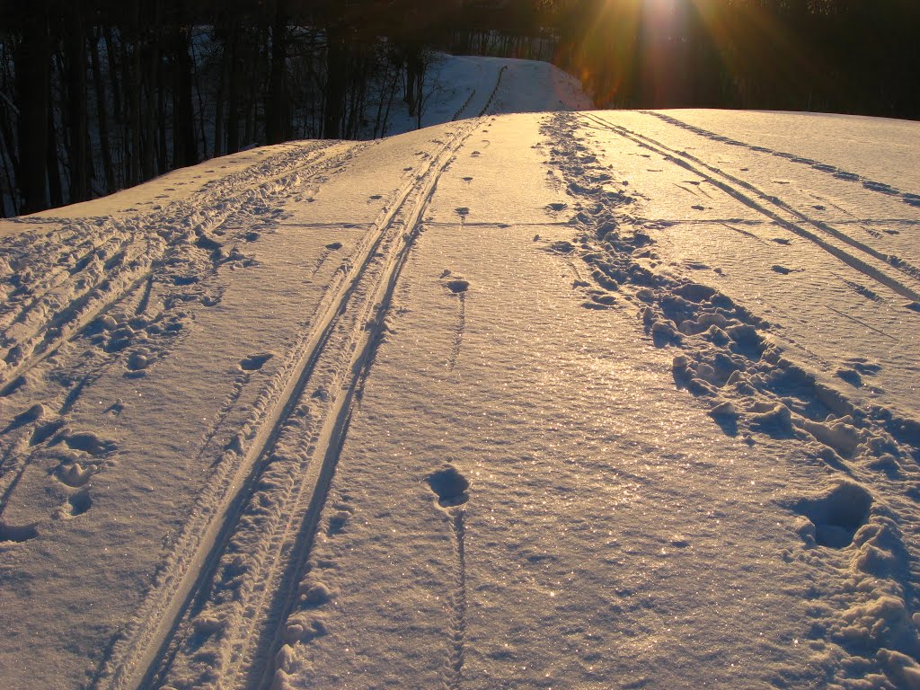 XC ski tracks, cross country skiing, Village of Indian Hill, Ohio