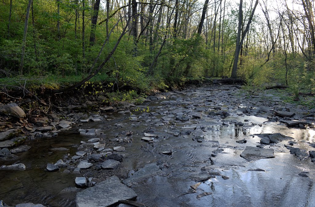 Threatened water quality, red bird hollow, Nature Conservancy, Village of Indian Hill, Ohio