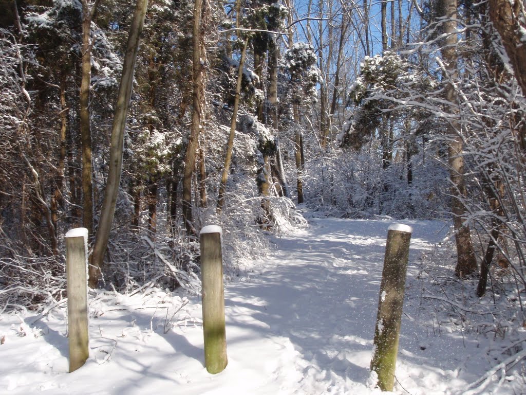 Whitacre Park, walking trail and nature area, Village of Indian Hill, Ohio