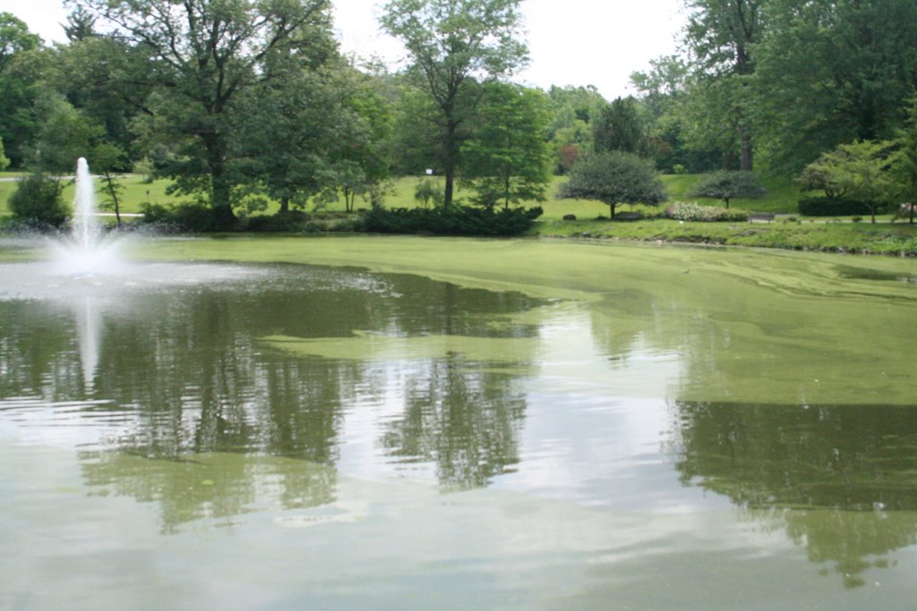 Pond at Lakeview Cemetery