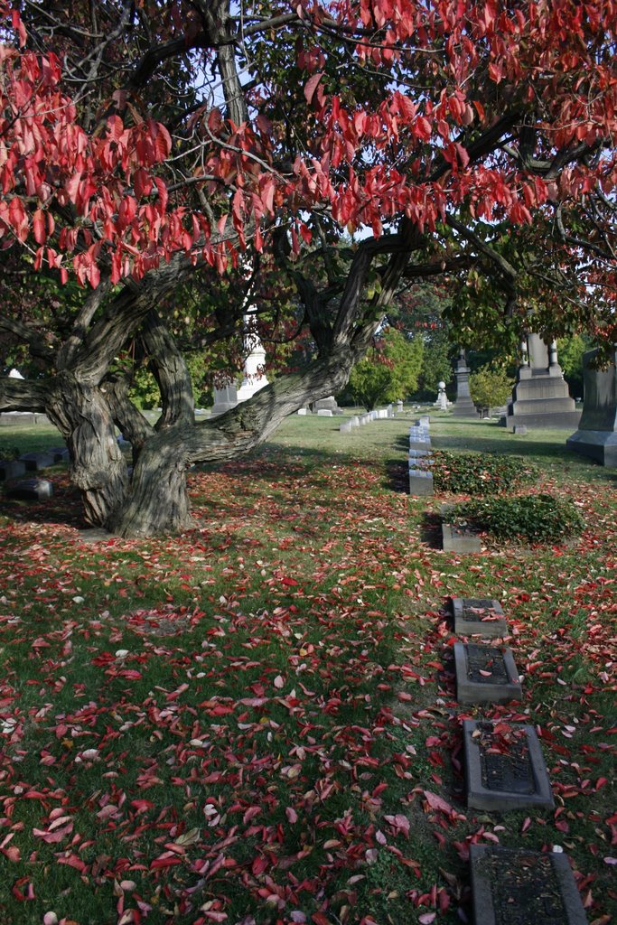 Lakeview in Autumn