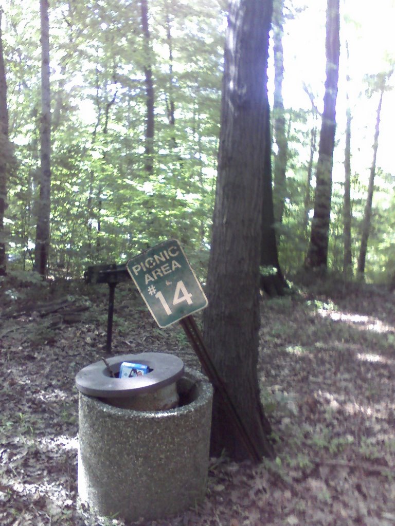 picnic area 14 - creepy