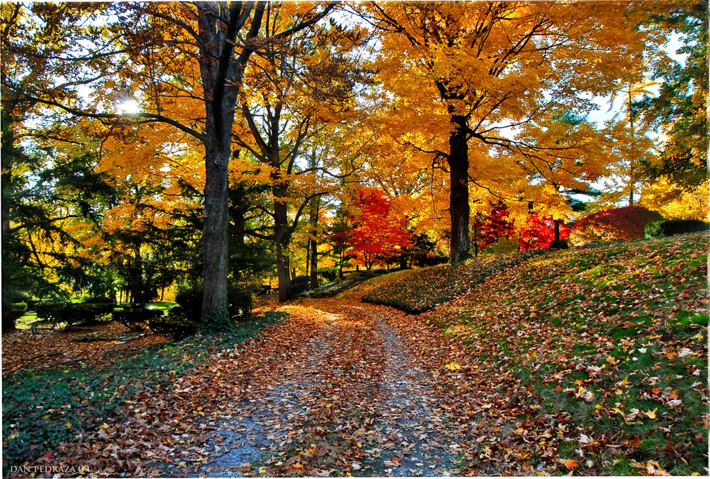 Colorful roadway