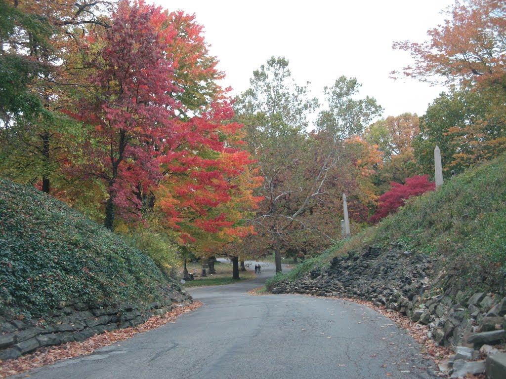 downhilll lane, Lakeview Cemetery, Cleveland