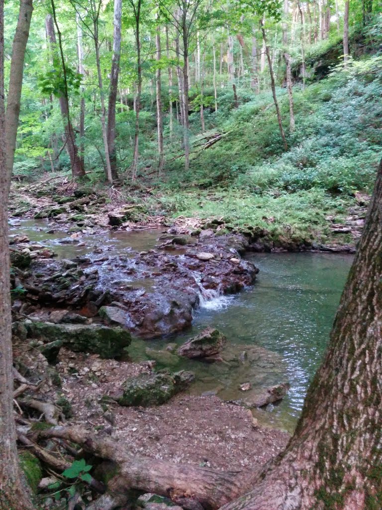 Glen Helen Nature Preserve