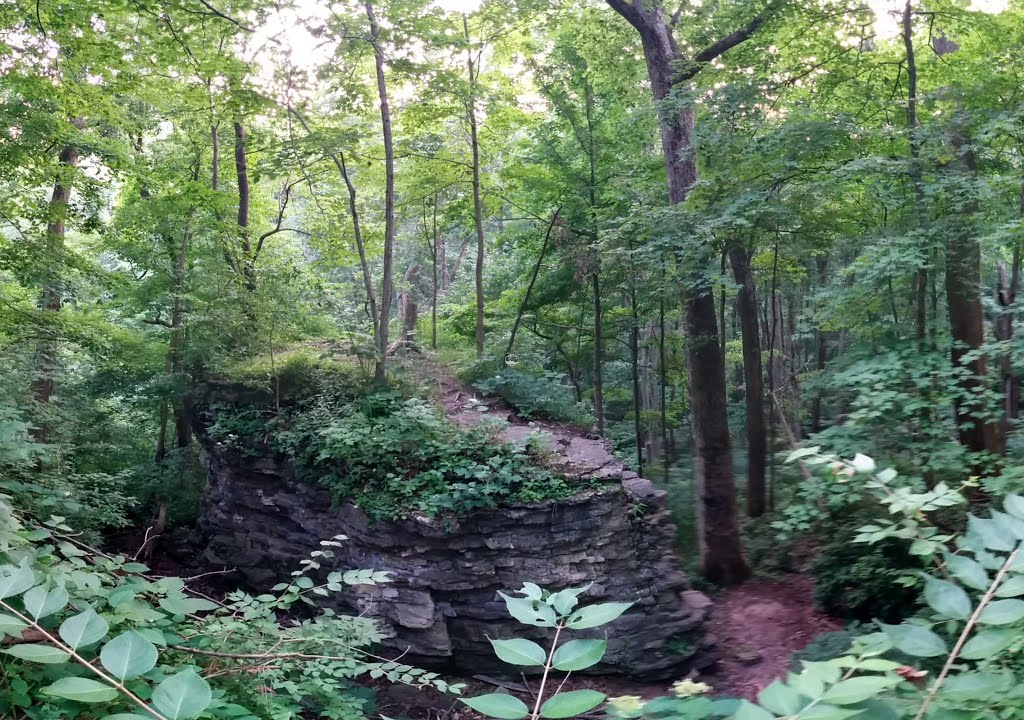Glen Helen Nature Preserve