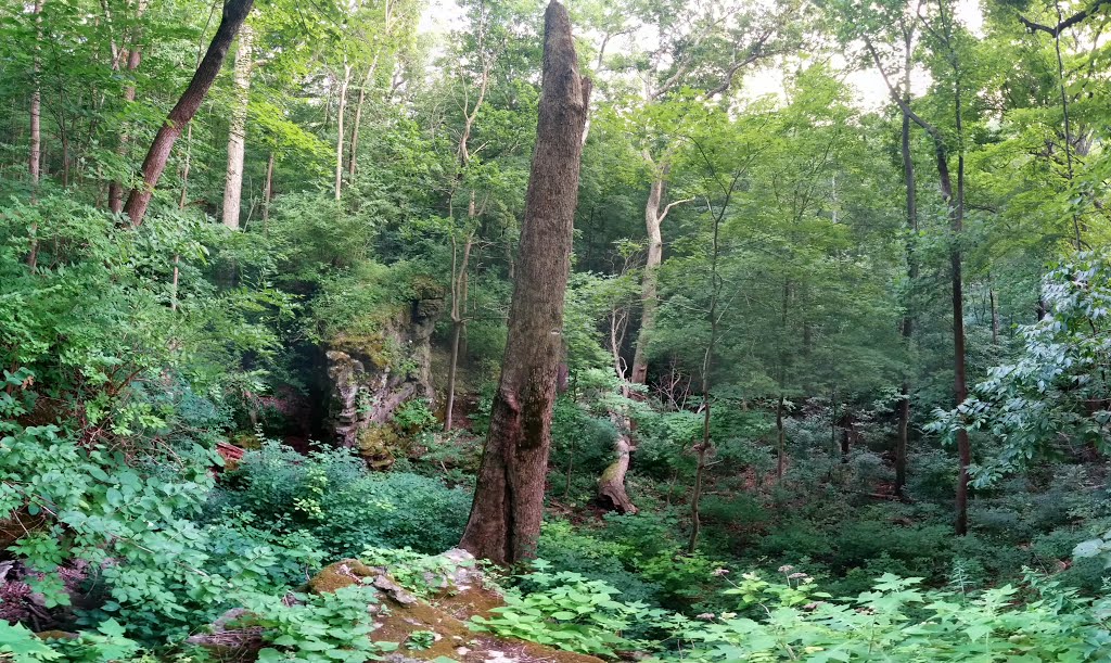 Glen Helen Nature Preserve