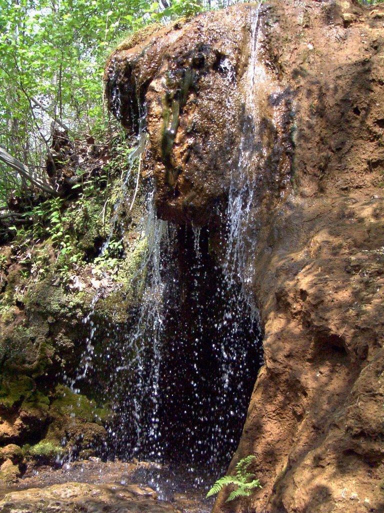 The Springs of Yellow Springs