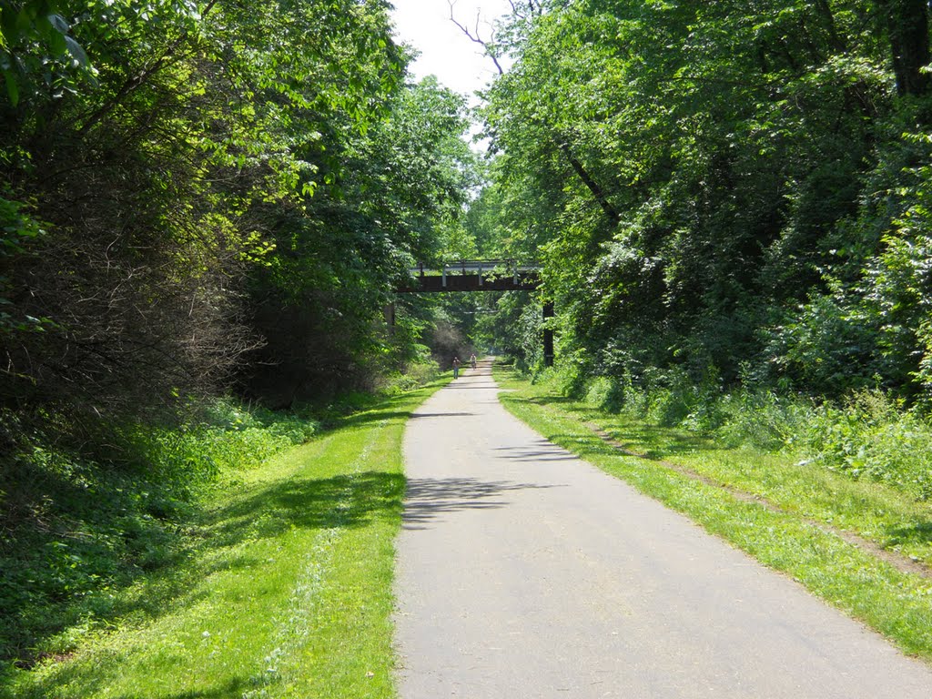 Bike Trail Overpass