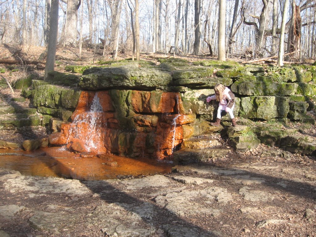 Scaling the Springs