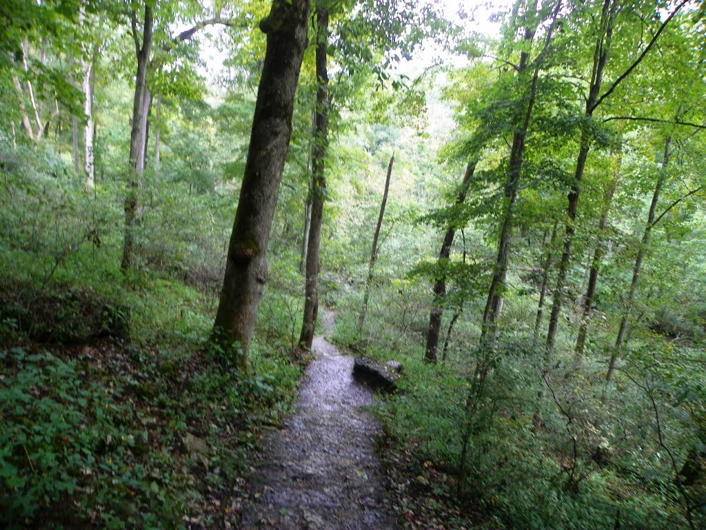 Glen Helen Preserve, Antioch College, Yellow Springs, Ohio