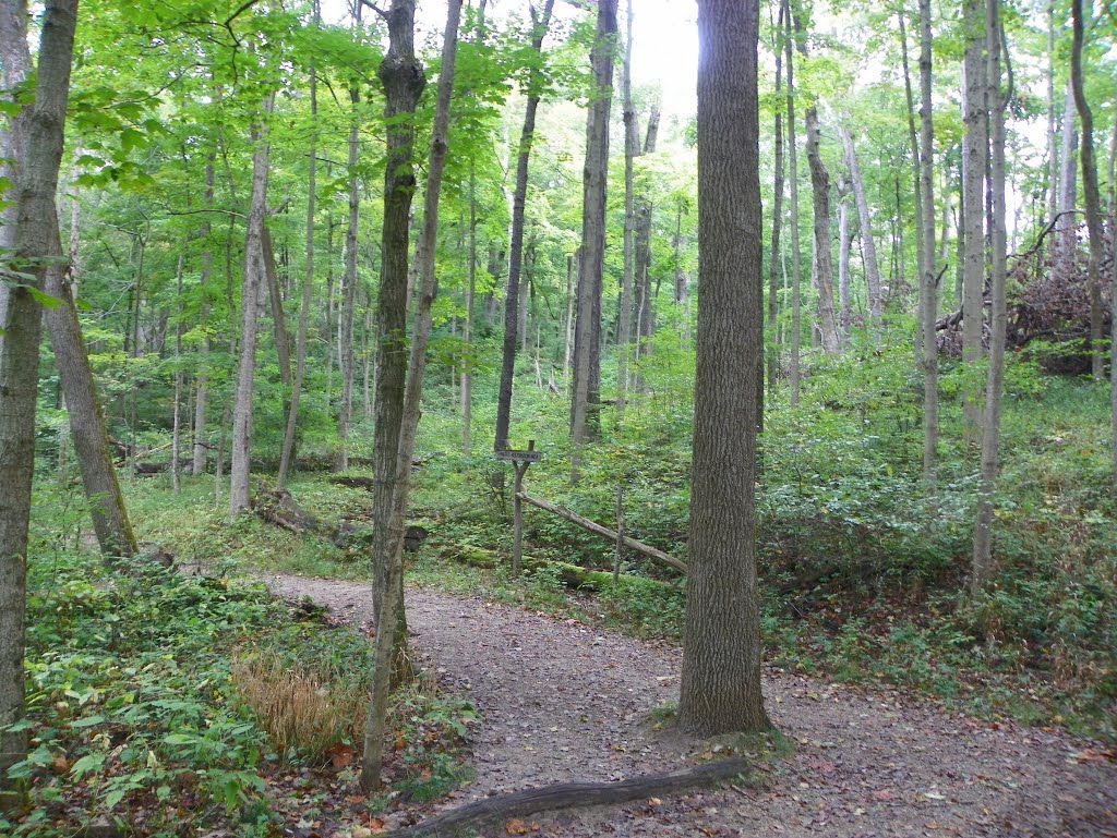 Glen Helen Preserve, Antioch College, Yellow Springs, Ohio