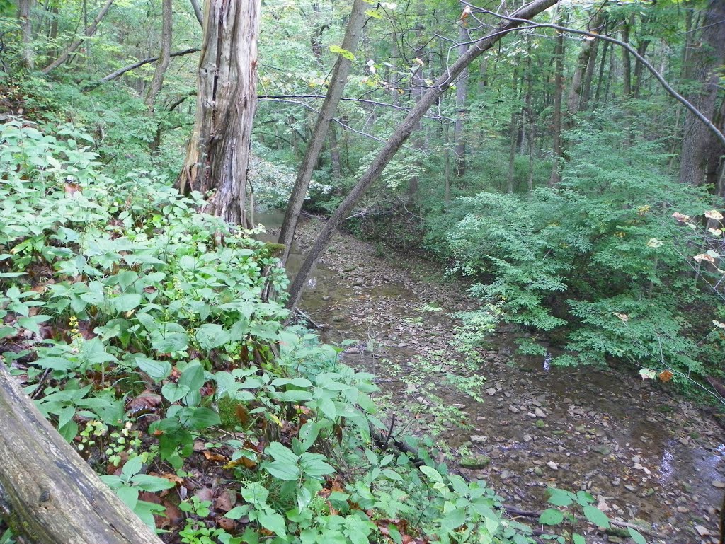 Glen Helen Preserve, Antioch College, Yellow Springs, Ohio