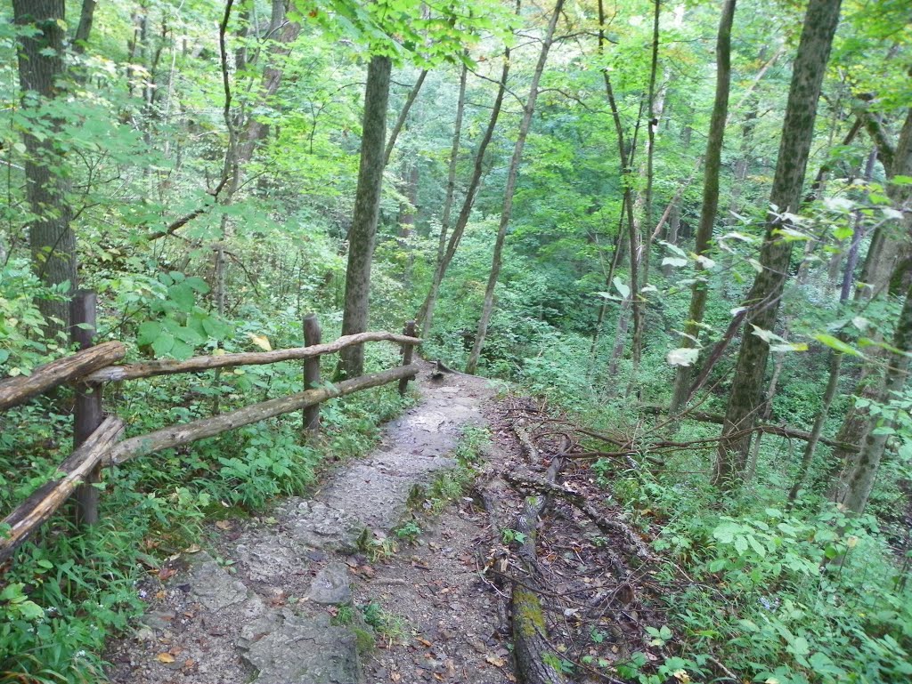 Glen Helen Preserve, Antioch College, Yellow Springs, Ohio
