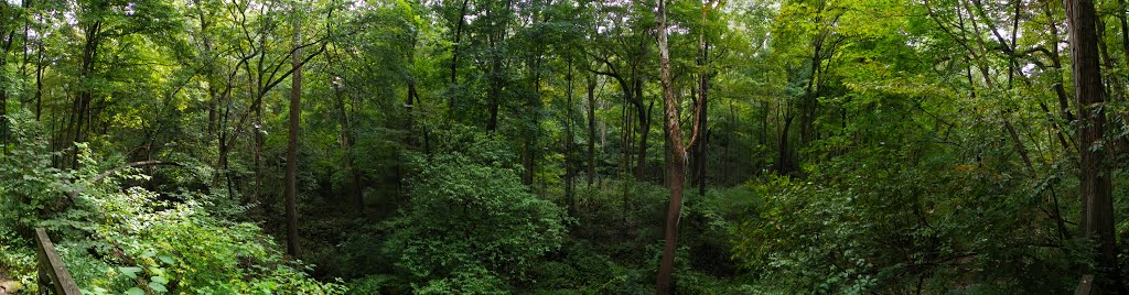 Glen Helen Preserve, Antioch College, Yellow Springs, Ohio