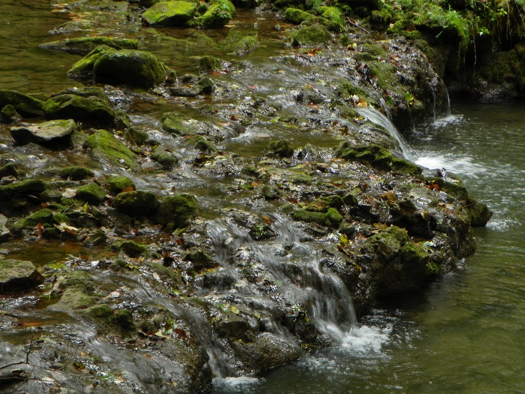 Glen Helen Preserve, Antioch College, Yellow Springs, Ohio