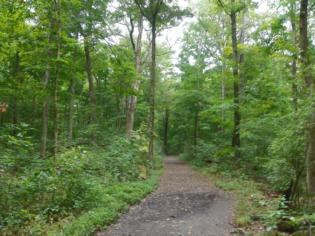 Glen Helen Preserve, Antioch College, Yellow Springs, Ohio