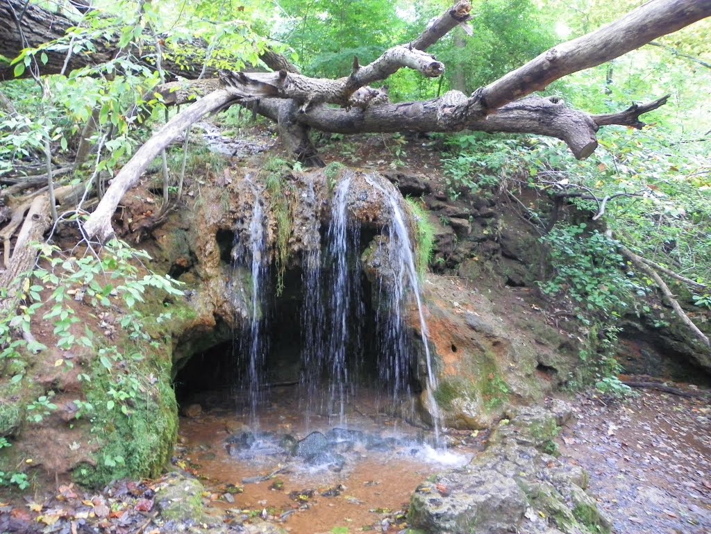 Glen Helen Preserve, Antioch College, Yellow Springs, Ohio
