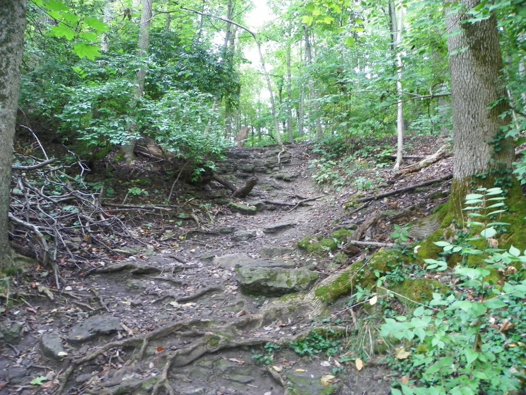 Glen Helen Preserve, Antioch College, Yellow Springs, Ohio