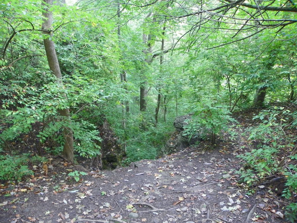 Glen Helen Preserve, Antioch College, Yellow Springs, Ohio
