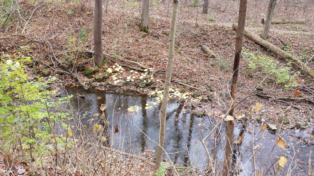 Inman Trail