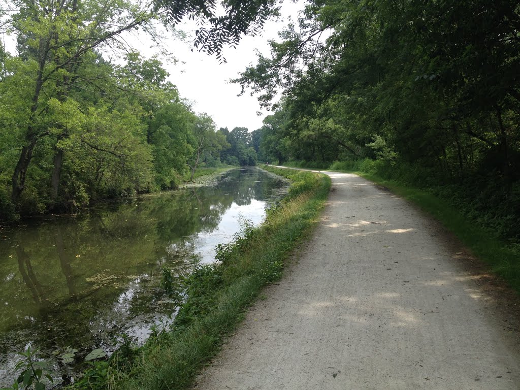 Towpath and canal near Canal Fulton