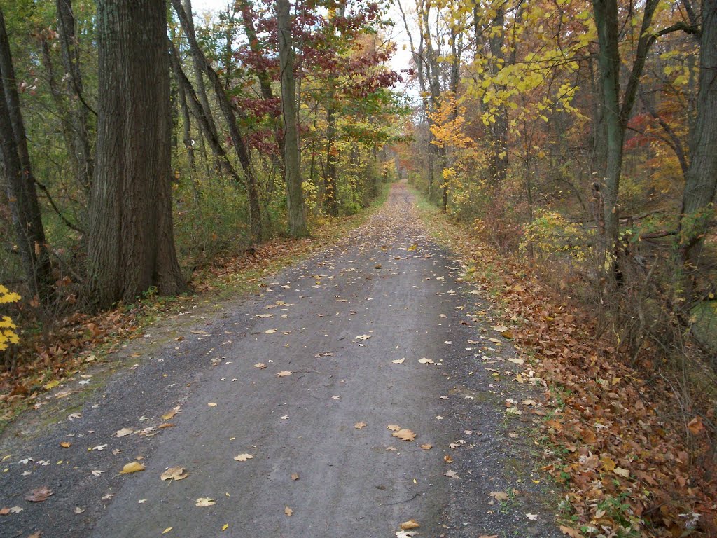 TowpathTrail