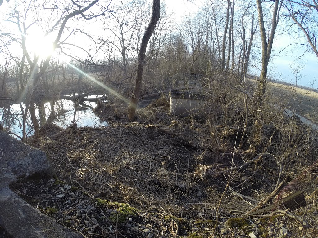 concrete span supports in woods. 1929