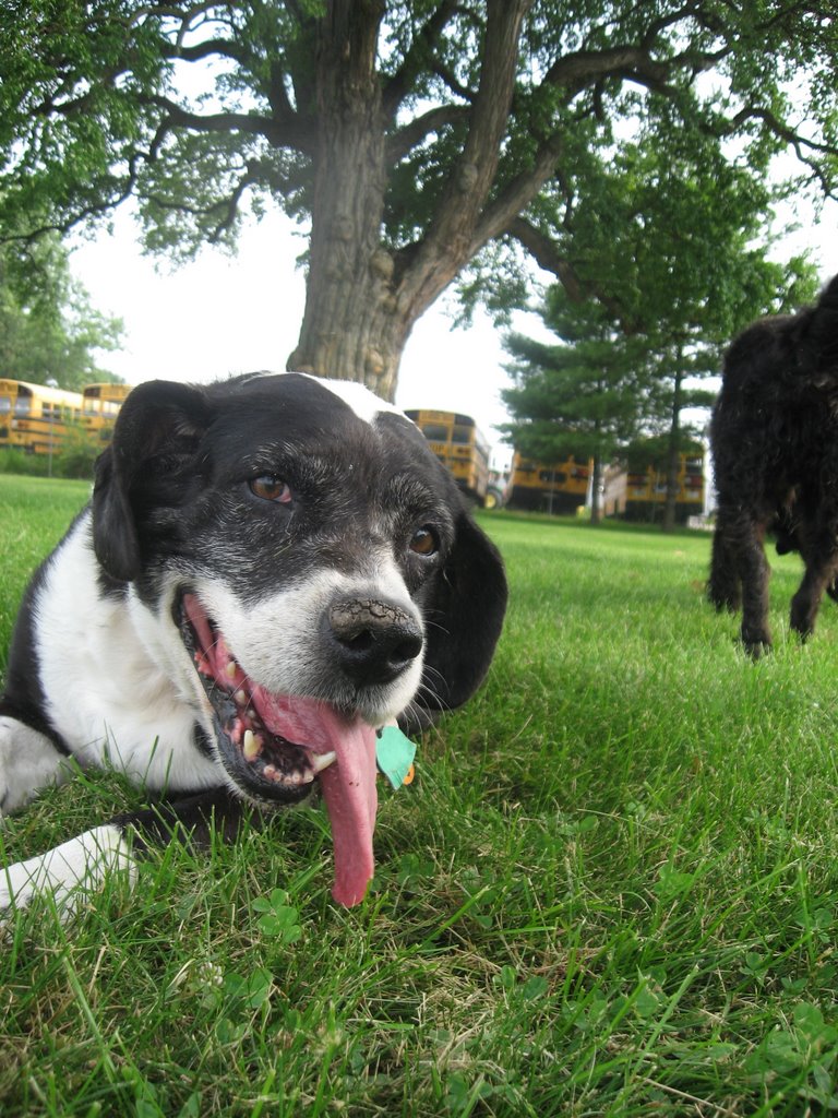 Peggy Sue at rest
