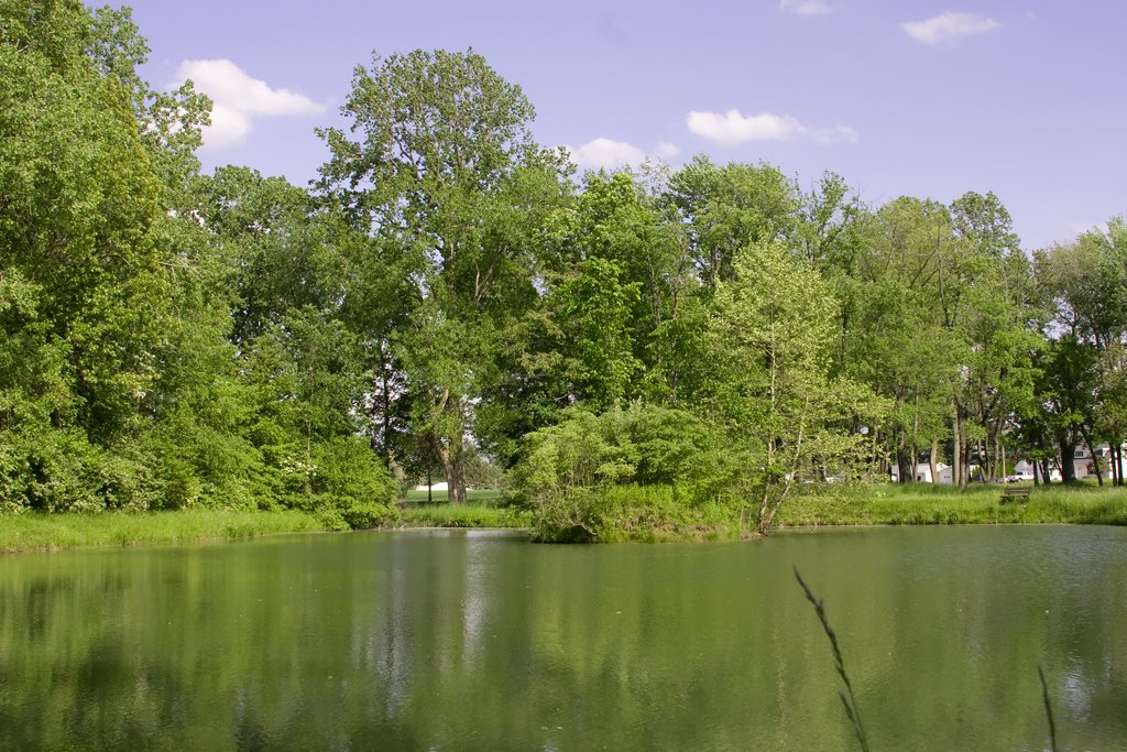 Castalia Ohio 101 Pond