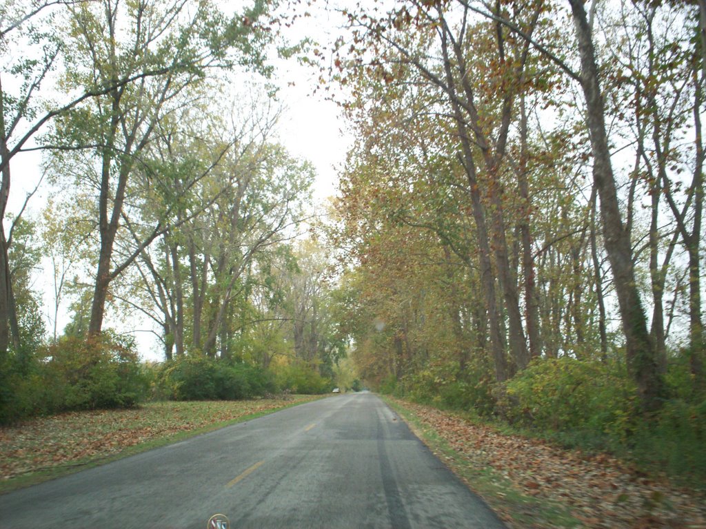 Reshaven Wildlife Refuge 10/26/07