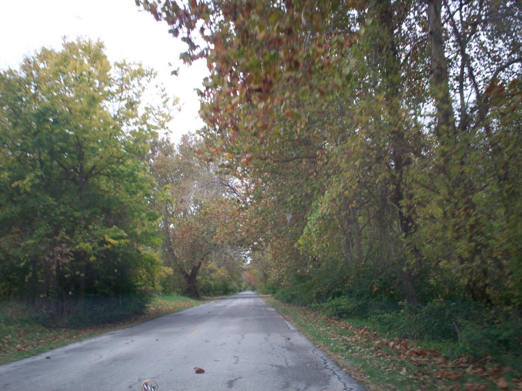 Reshaven Wildlife Refuge 10/26/07