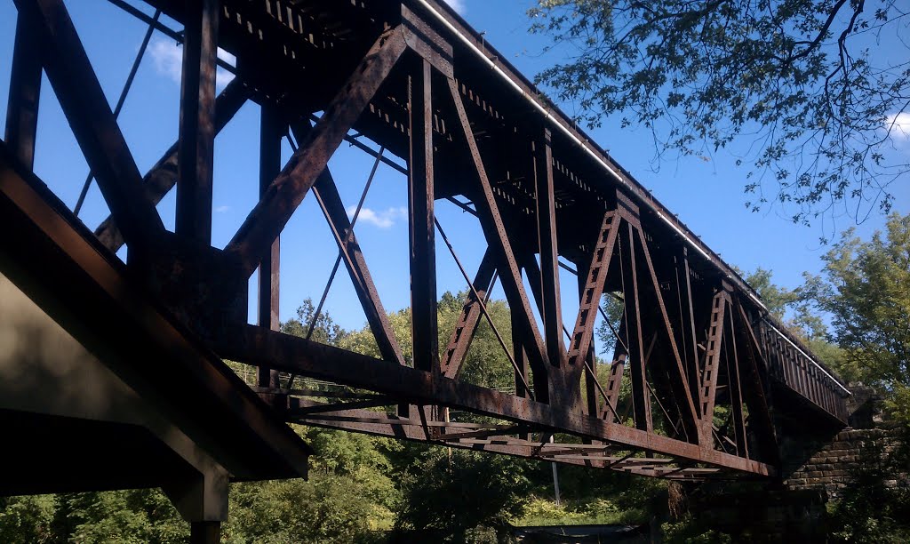The Wheeling and Lake Erie Trestle